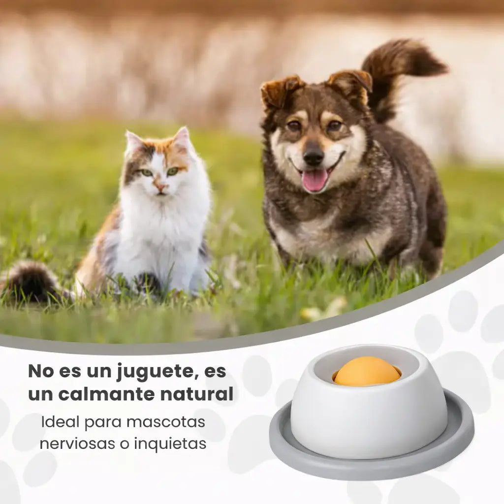 RelaxBowl™ - Bowl Antiestrés para Mascotas