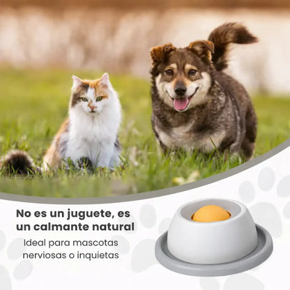 RelaxBowl™ - Bowl Antiestrés para Mascotas